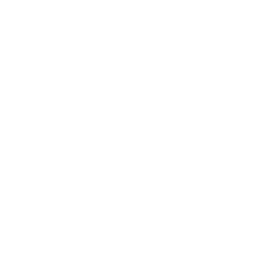 PLEASURE HOUSE
